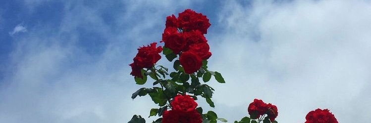 ta11187's profile banner image