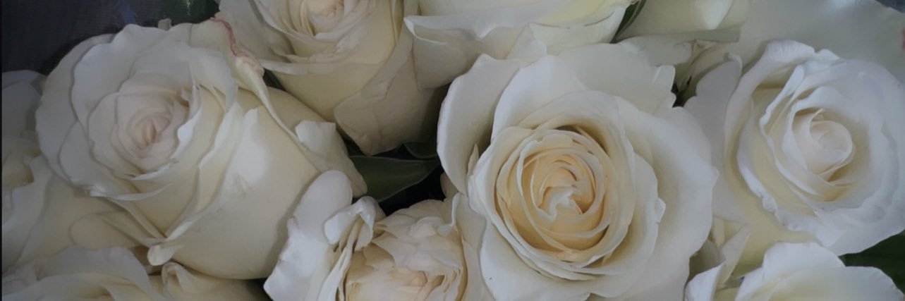 Coco_Colaa_'s profile banner image
