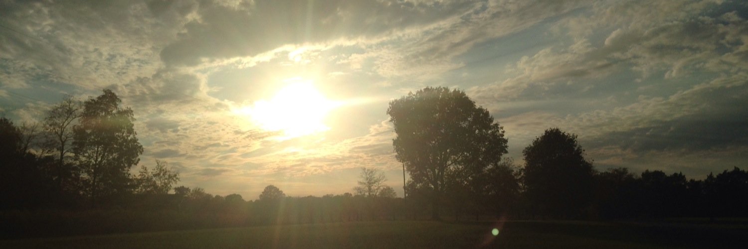 JessTLivingston's profile banner image