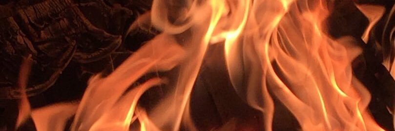 dan_boja's profile banner image