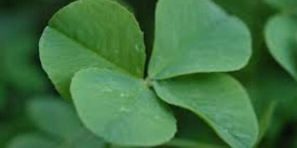 mepaddyjust's profile banner image