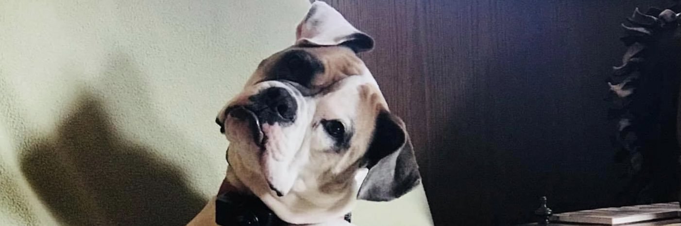 Lex_108's profile banner image