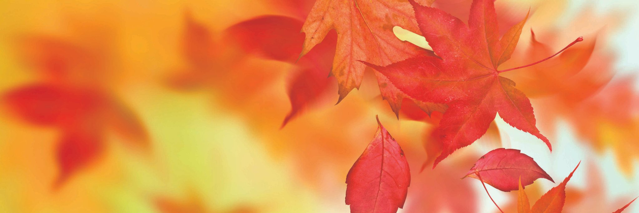 LD_Granville's profile banner image