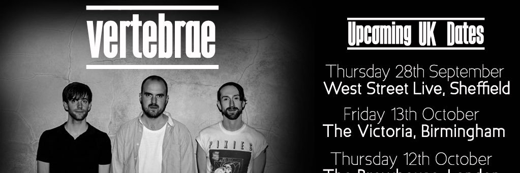VertebraeMusic's profile banner image