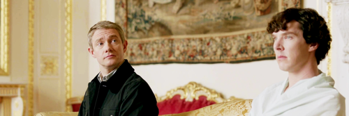 stylours's profile banner image