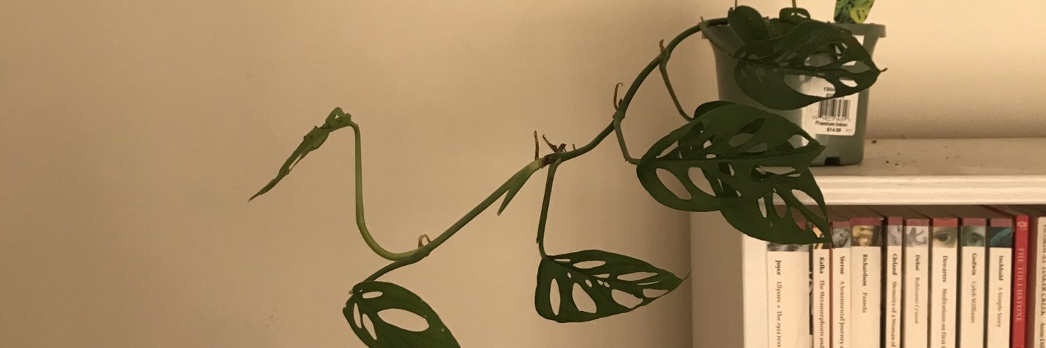 DearElina's profile banner image