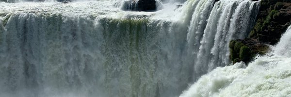 Strewthieruthie Profile Banner