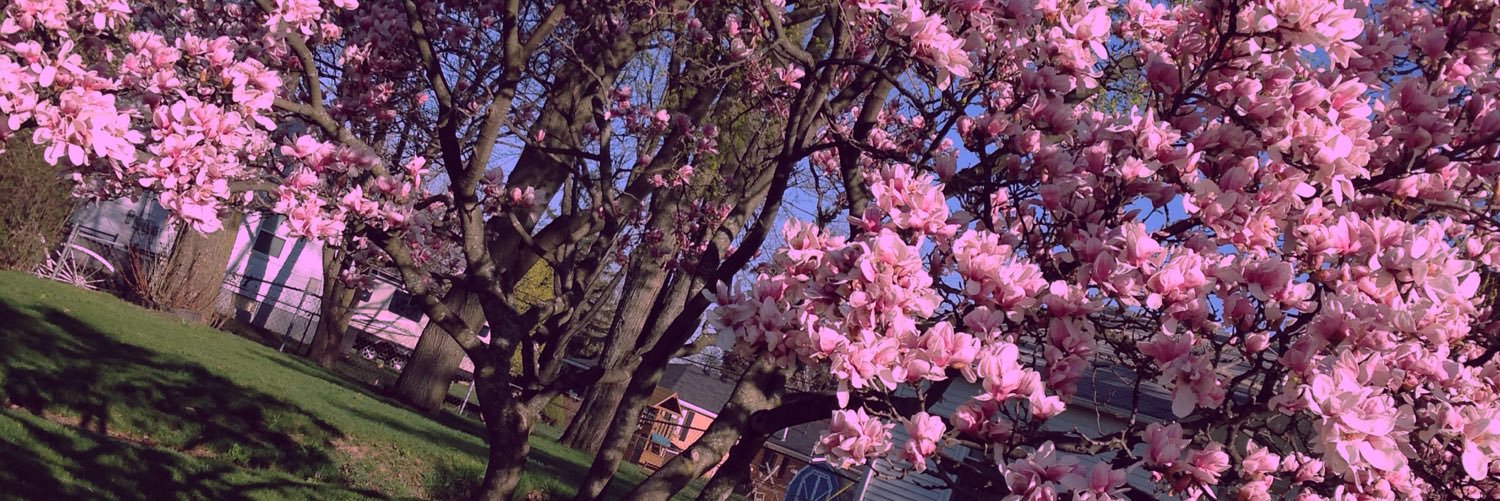 faroutjay's profile banner image