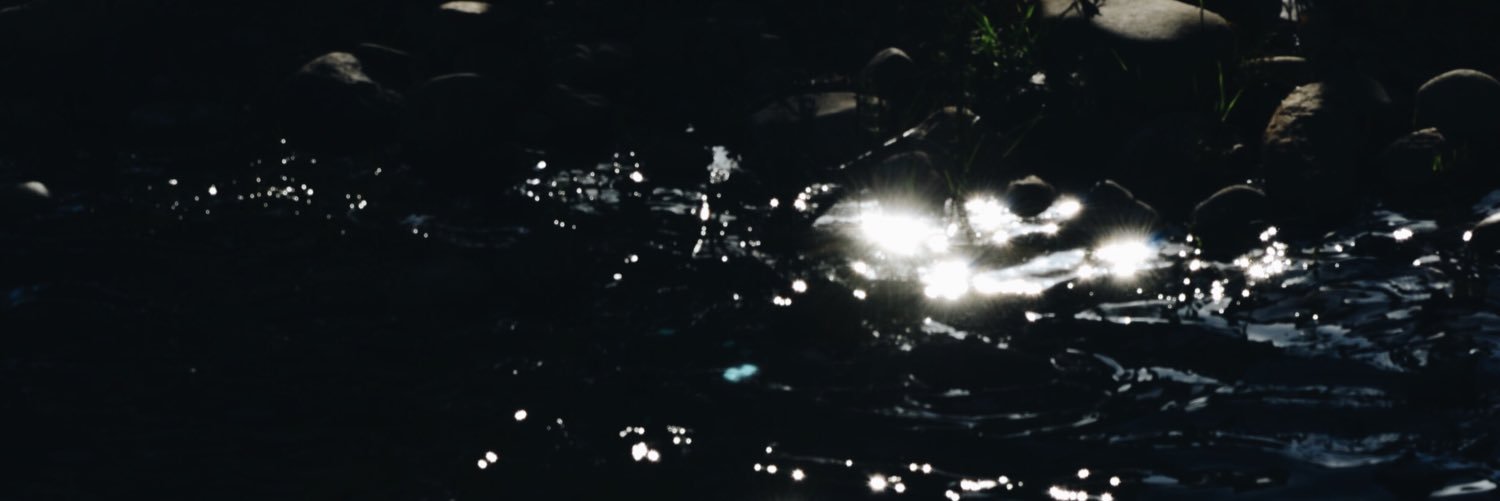 sedi_ramone's profile banner image