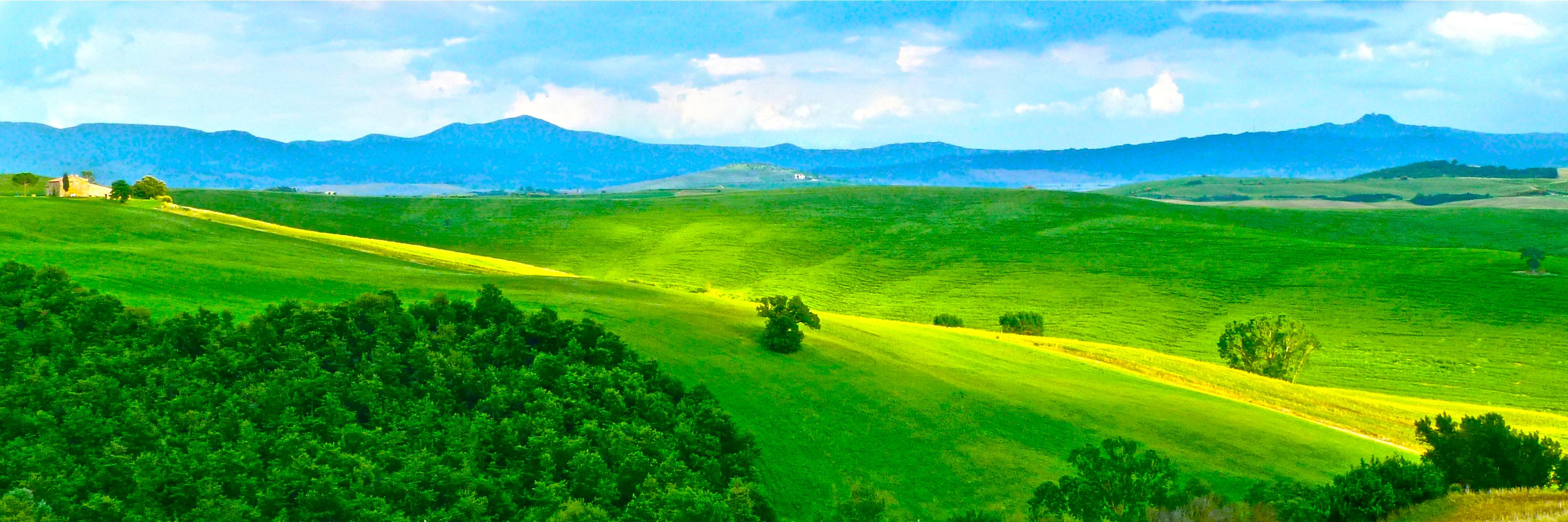 RonDaly's profile banner image