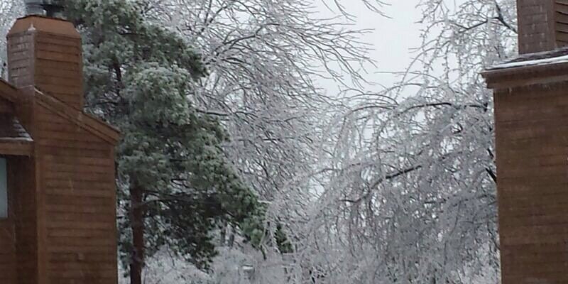 Mutairi_M_M's profile banner image
