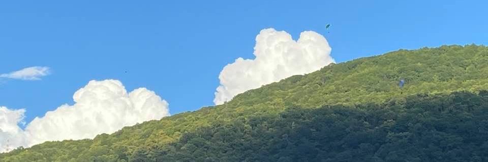 Ringeval Fabien banner