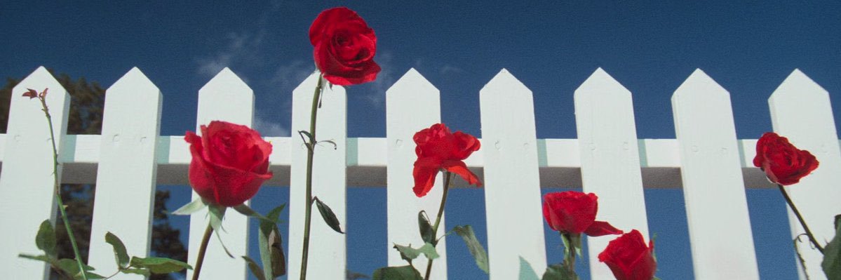 jururuvibes's profile banner image