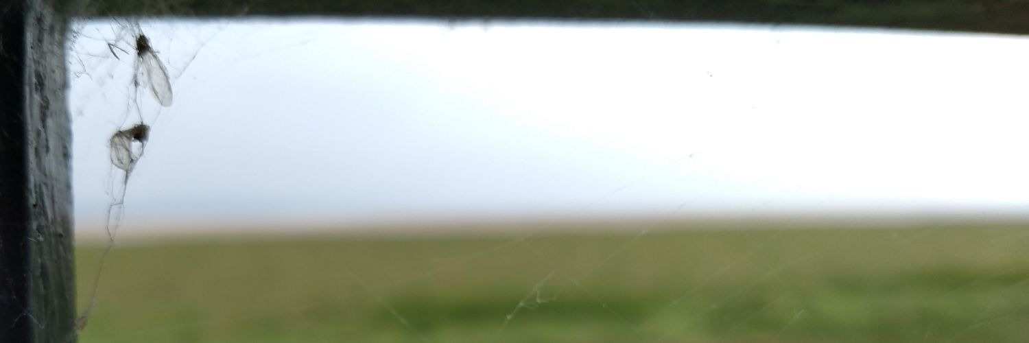 jenimcconnell's profile banner image