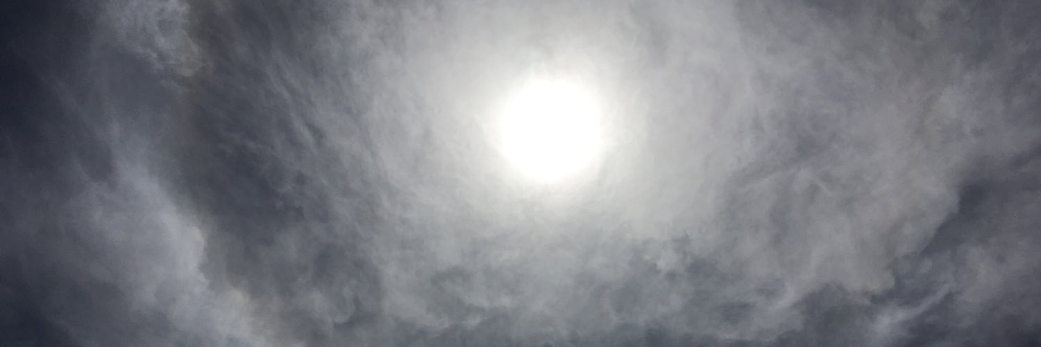 LiamMaybird's profile banner image