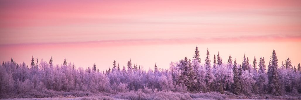 burcinsoysl's profile banner image