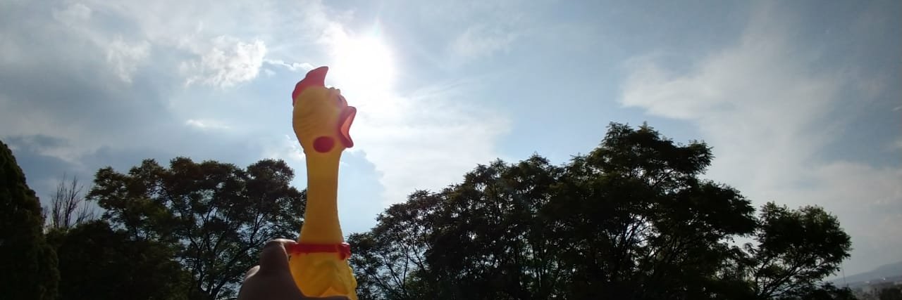 ROMLE22's profile banner image