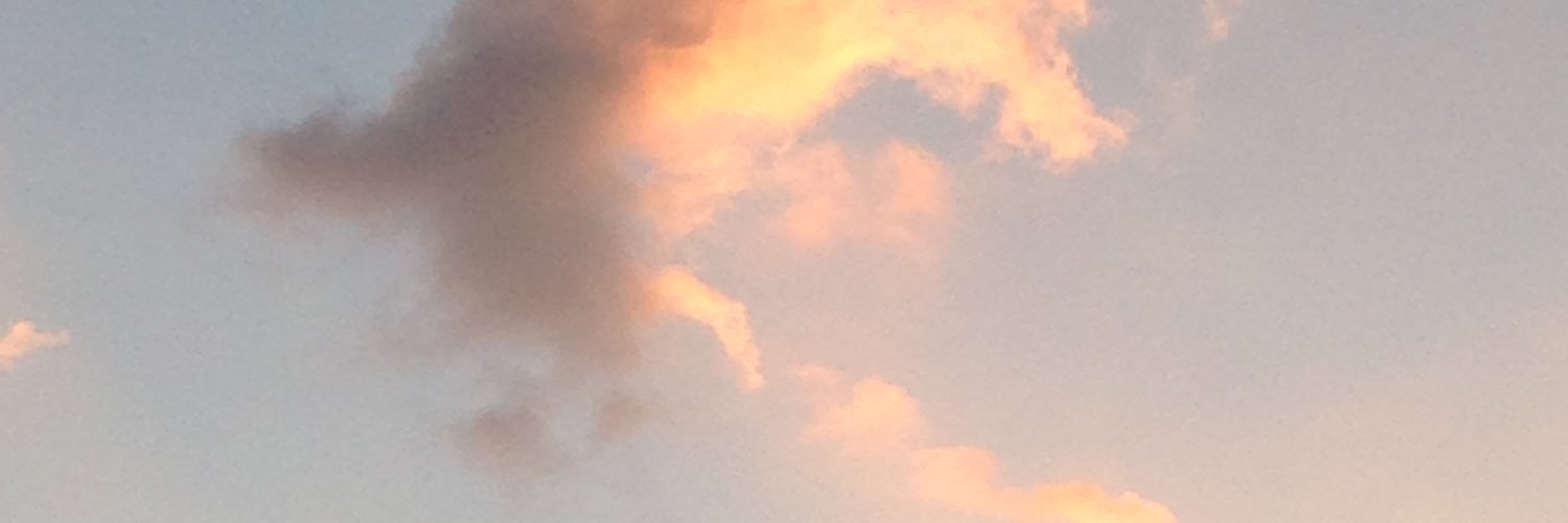 Sarah_man23's profile banner image