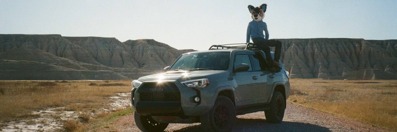 Tass! 🇺🇦 // 鹿猫 banner