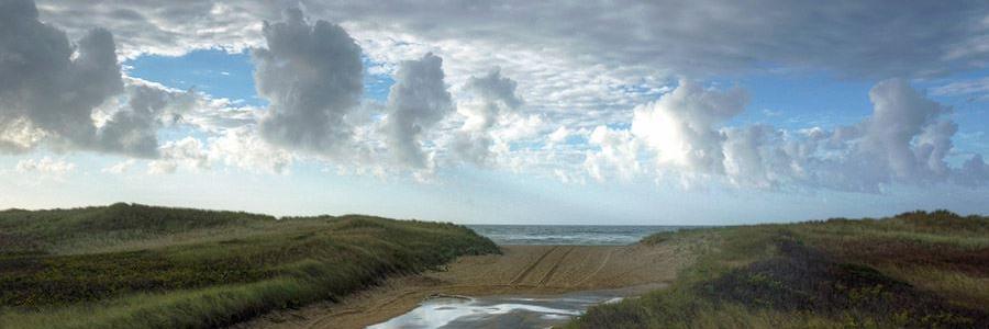 Reginald M. Browne banner