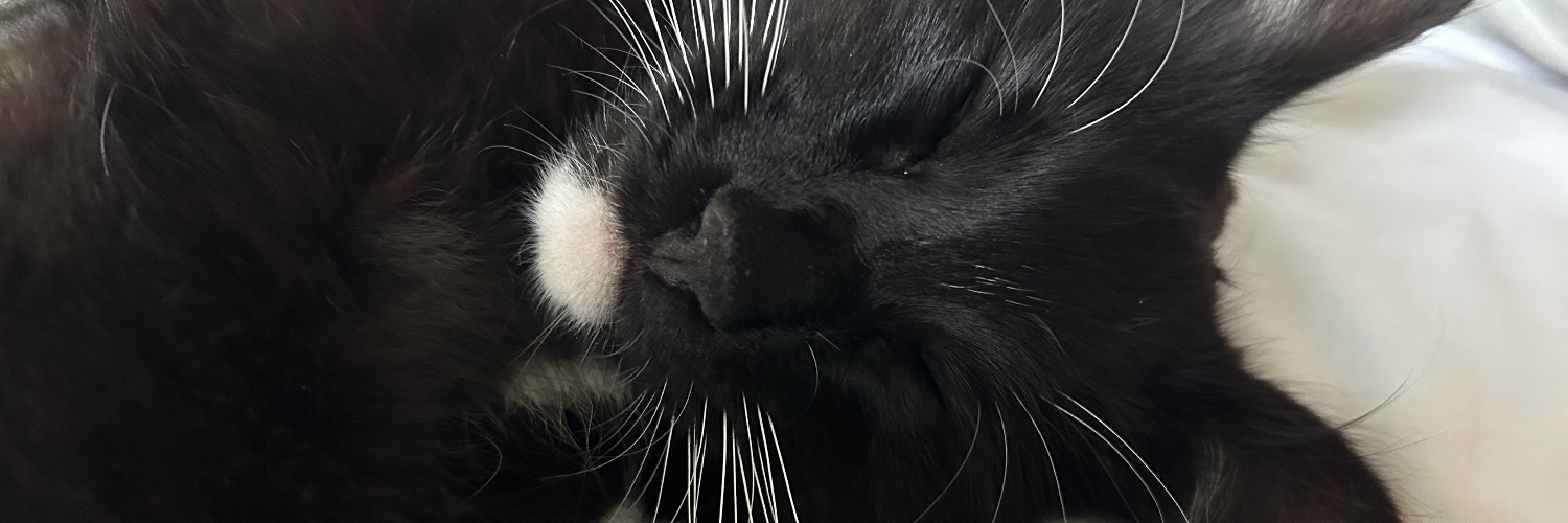 englishmuffs's profile banner image