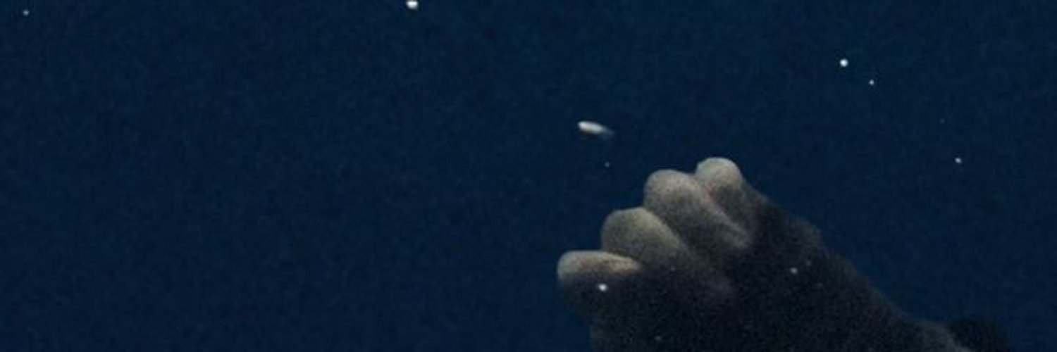 anilnarad's profile banner image