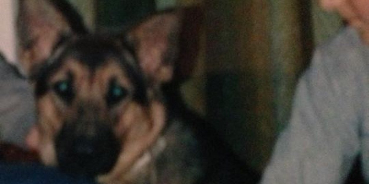 ZirAsmir's profile banner image