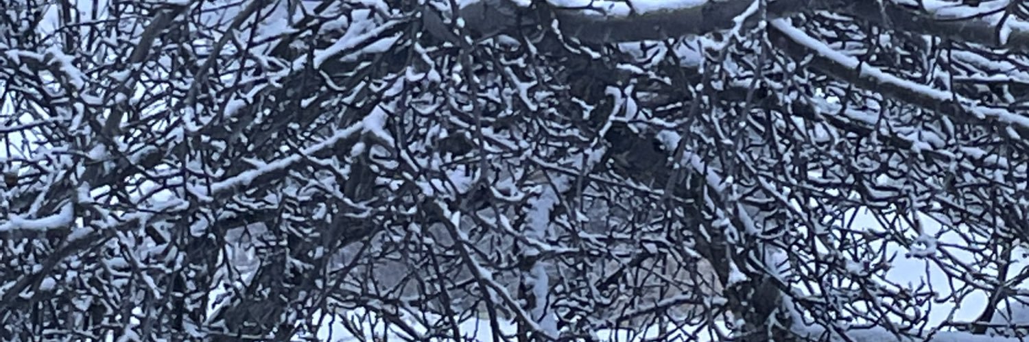 ajwopw's profile banner image