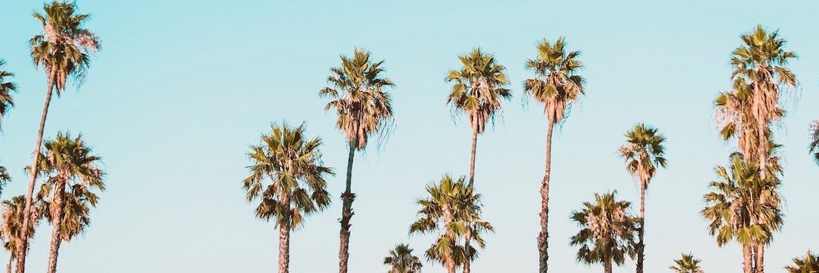 AOlp18's profile banner image
