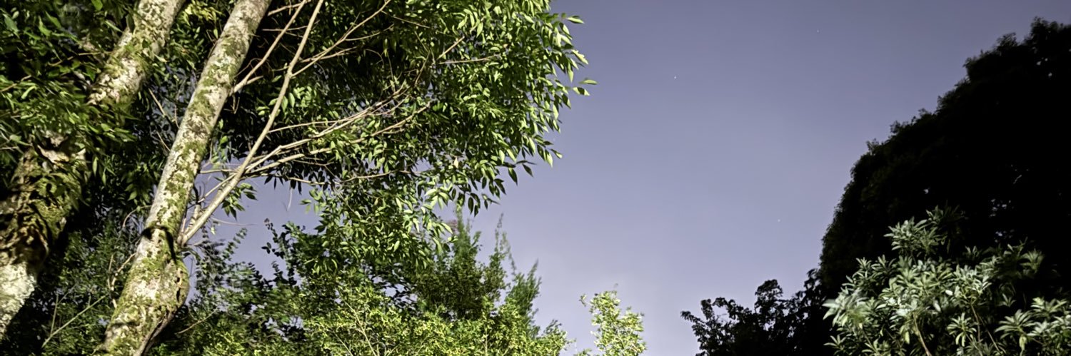 danisle's profile banner image