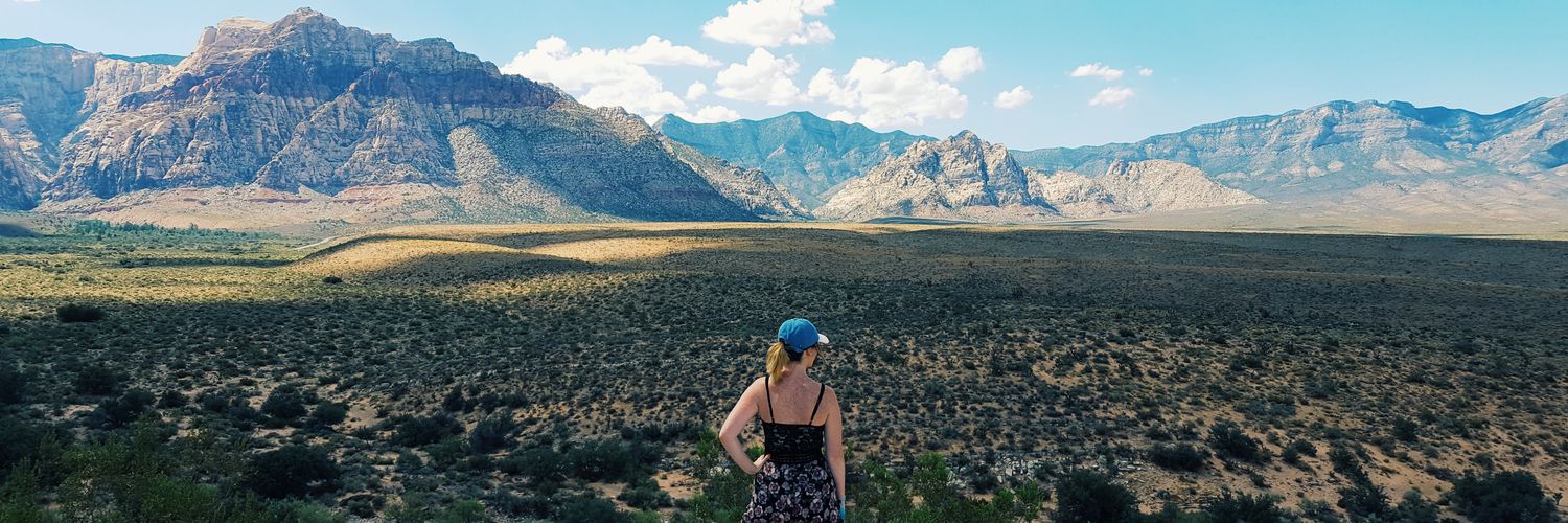 MelissaBarron3's profile banner image