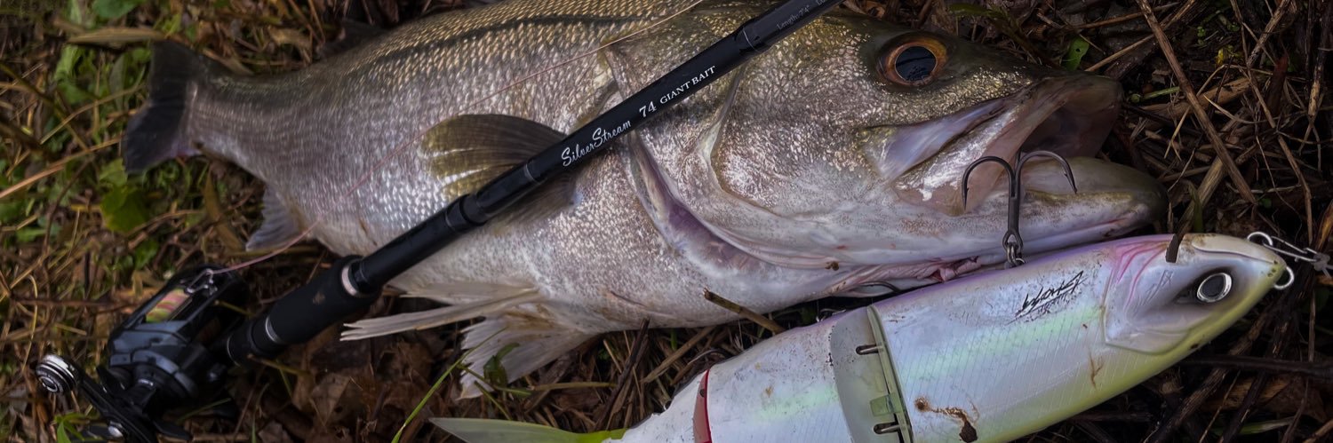 ikebo08's profile banner image
