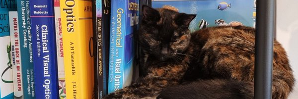 samanthastrong Profile Banner