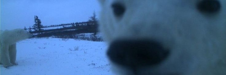 ilaaarg's profile banner image