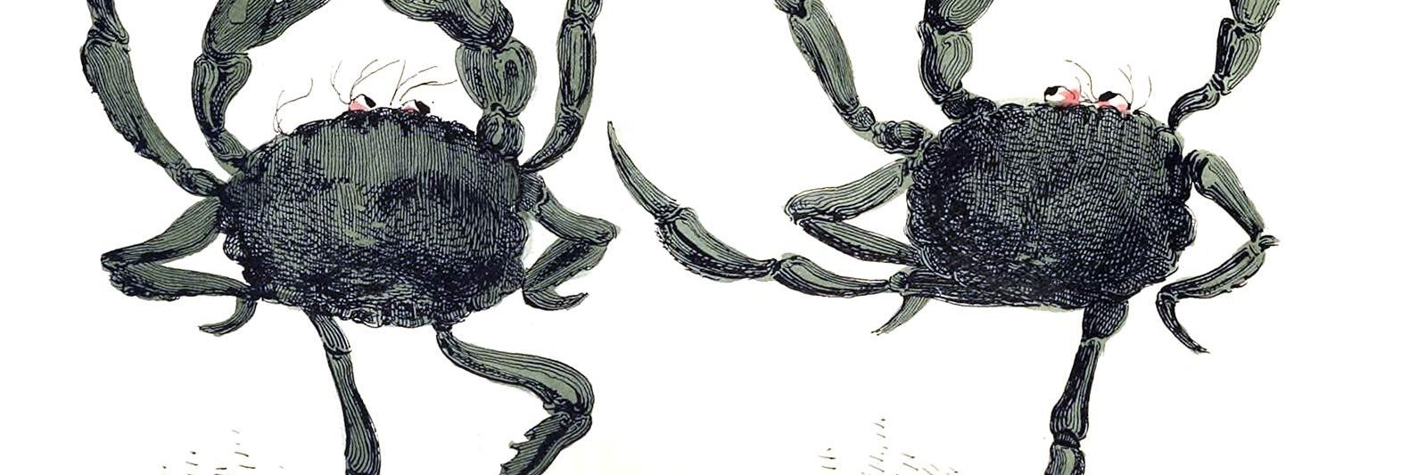 recovering main character banner