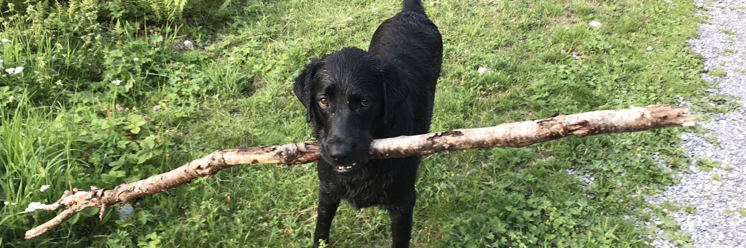 Martin Clapson banner