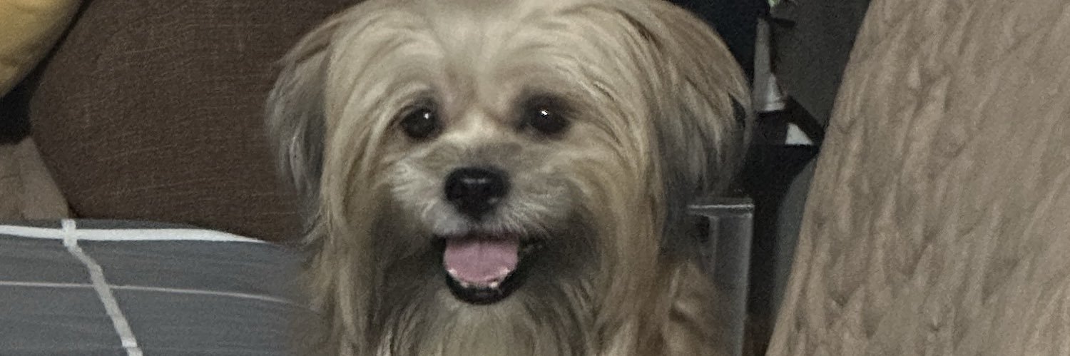 MatchuKyle's profile banner image