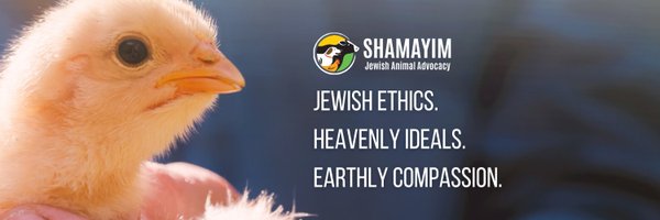 Shamayim_ Profile Banner