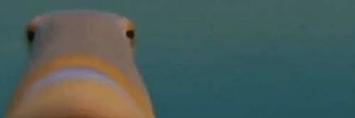Eyyyyyyqq's profile banner image