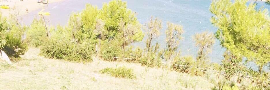 Simona13803018's profile banner image