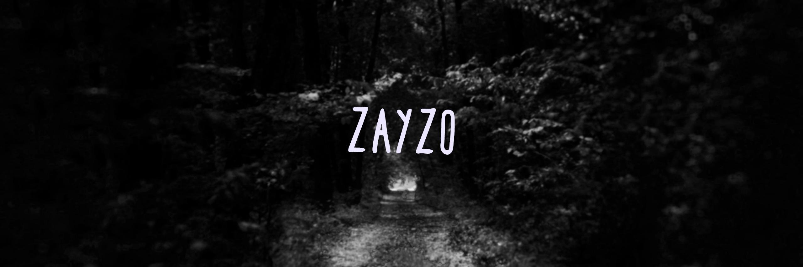 ZayzoIsDead's profile banner image