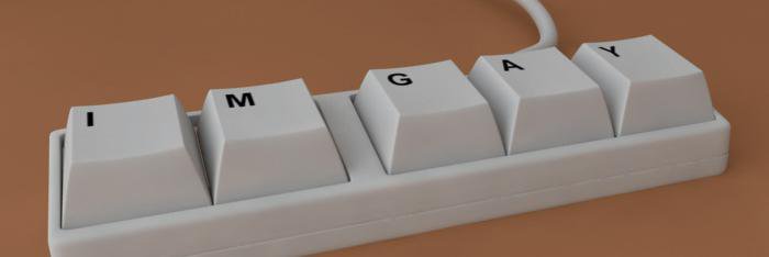 SingleGayITGuy's profile banner image