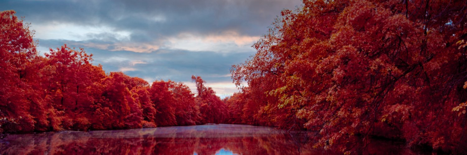 Kolari Vision banner