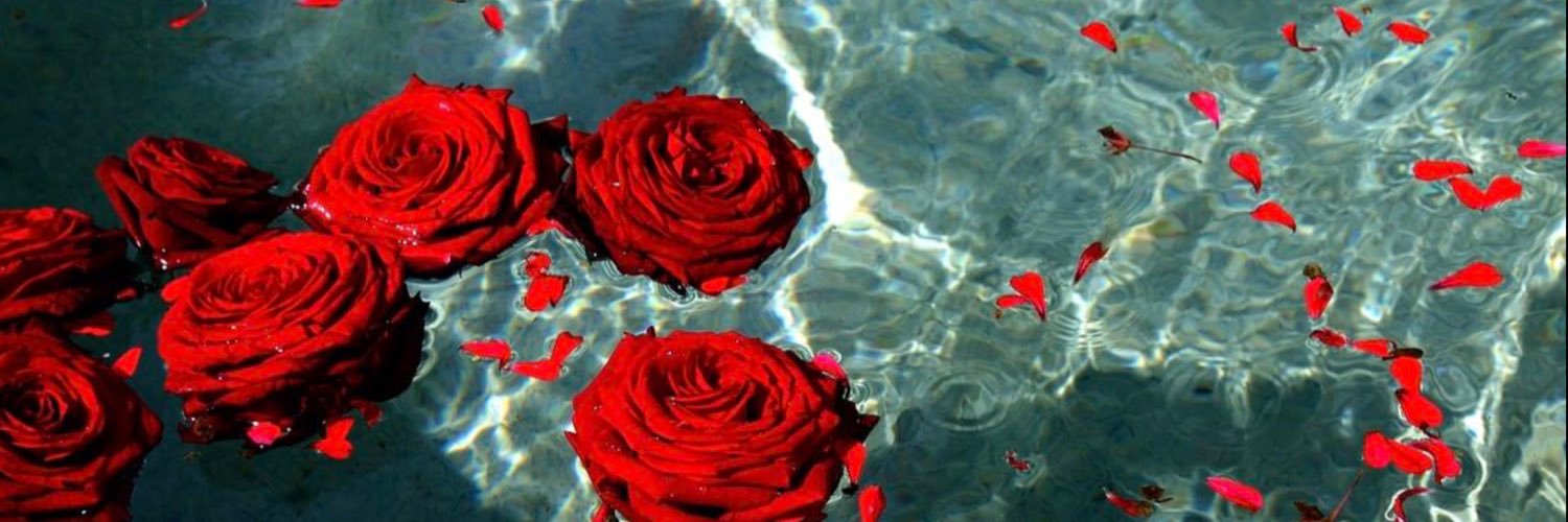 Ross_Jillian's profile banner image