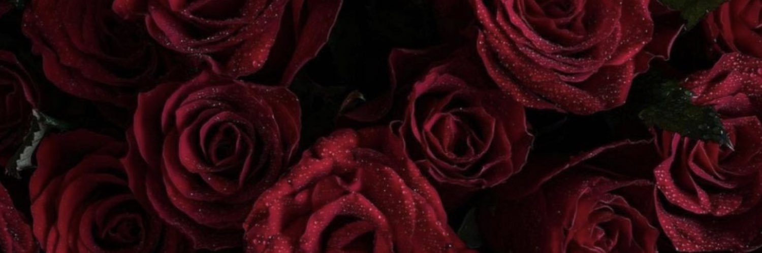 rowd_q's profile banner image