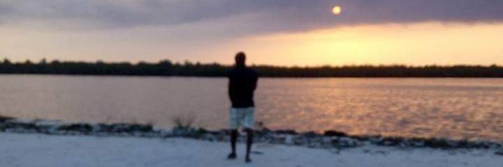 diangle1's profile banner image