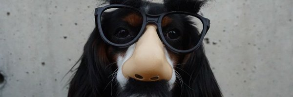 HoyPuedeQueSi Profile Banner