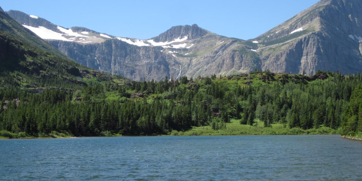 Van mac Nessa  🌲 banner
