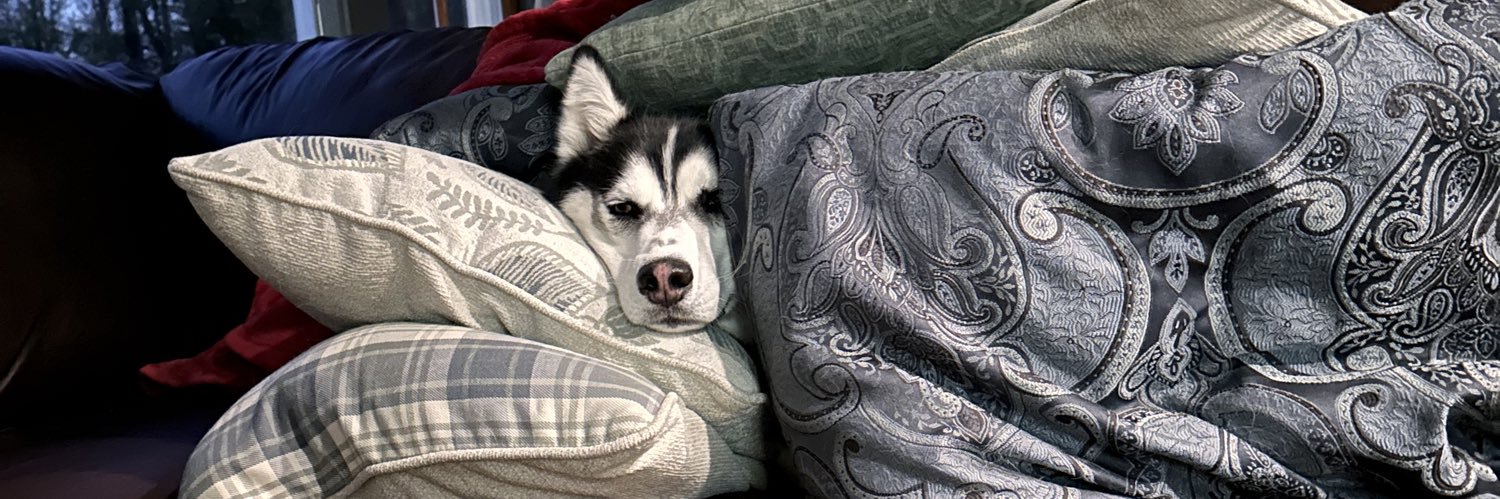 Hoagie P. Gilligan banner