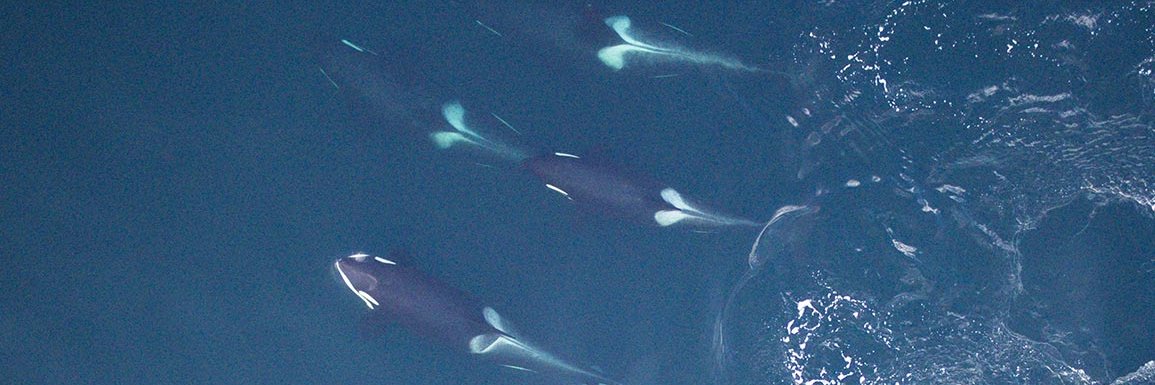 Lance Barrett-Lennard banner